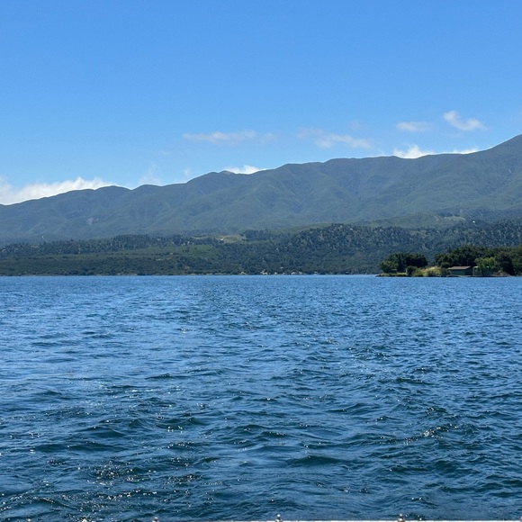 Meet your Posher, Sandra - Picture 3 of 4